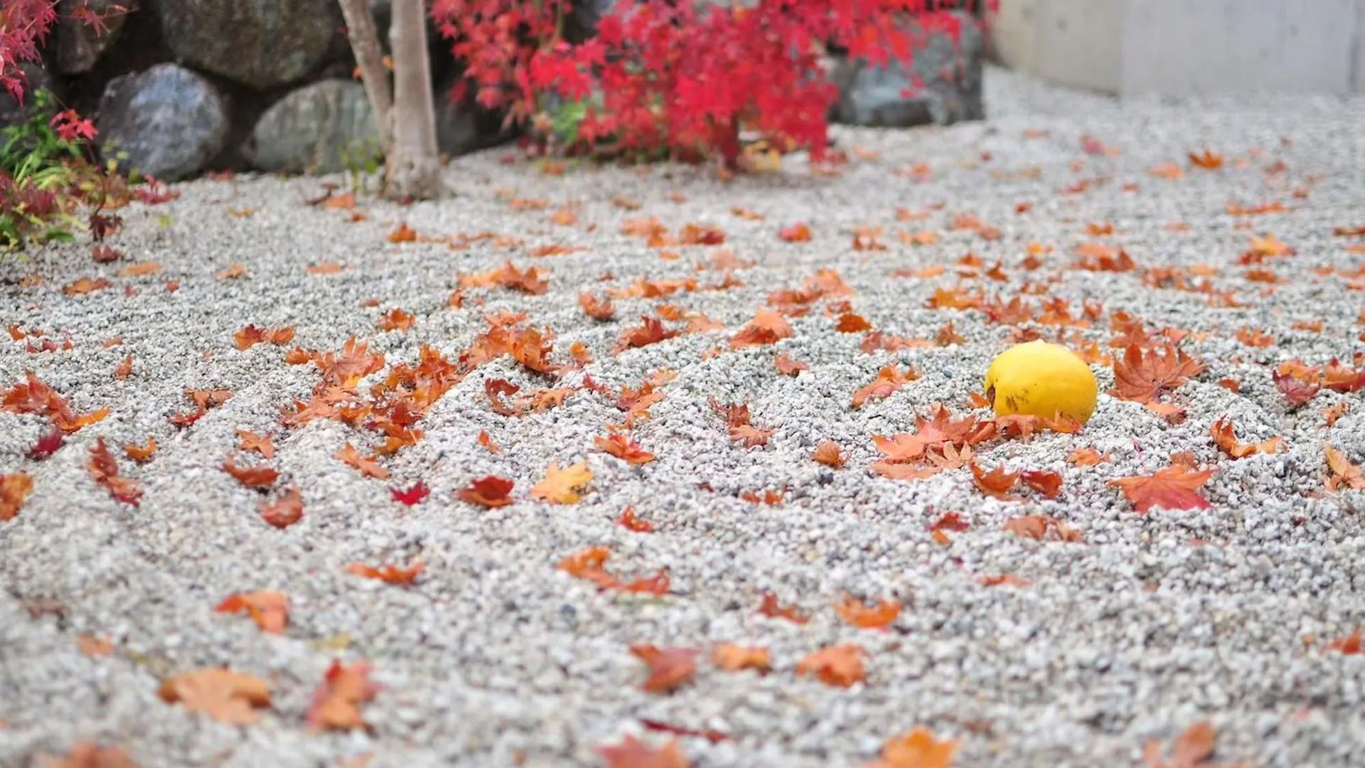 Tokyu Stay Kyoto Sanjo-Karasuma מלון