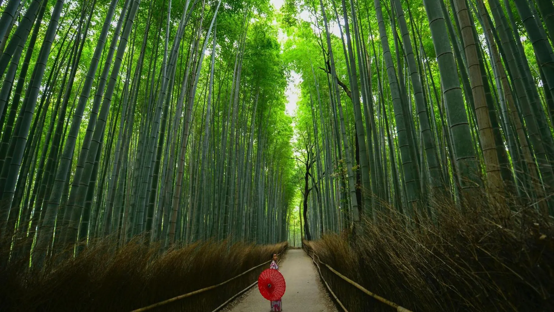 Tokyu Stay Kyoto Sanjo-Karasuma 3*,  יפן
