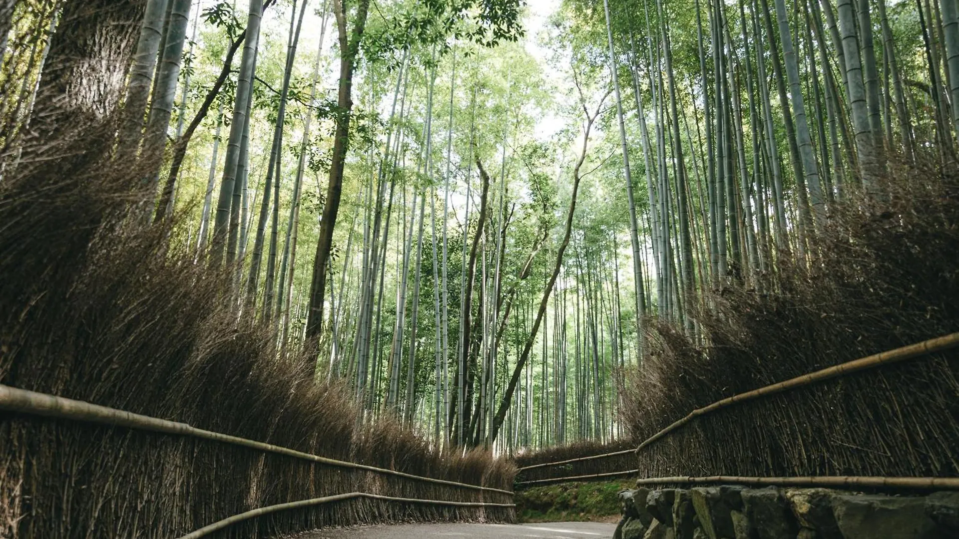 Tokyu Stay Kyoto Sanjo-Karasuma מלון